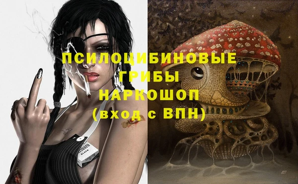МДПВ Гусиноозёрск