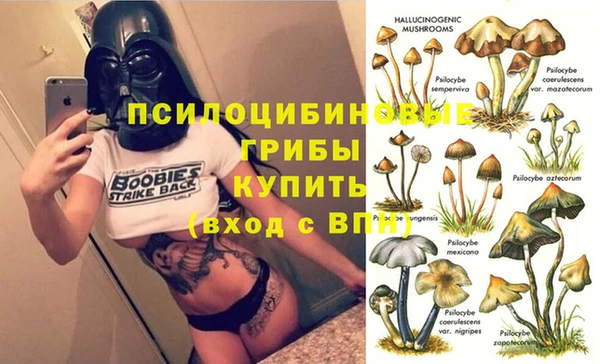 герыч Новодвинск