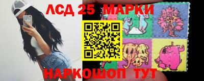 прущие крисы Гусев