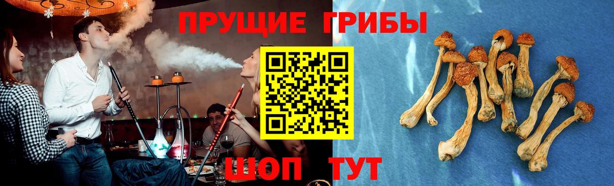 Галлюциногенные грибы MAGIC MUSHROOMS  Вход с VPN  Похвистнево 